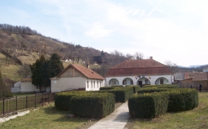Primaria Salistea